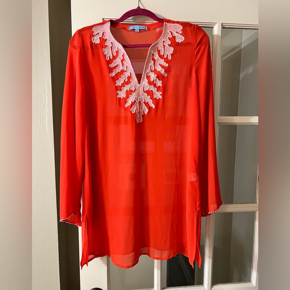 Sheer Antonio Melani Tunis, size S
